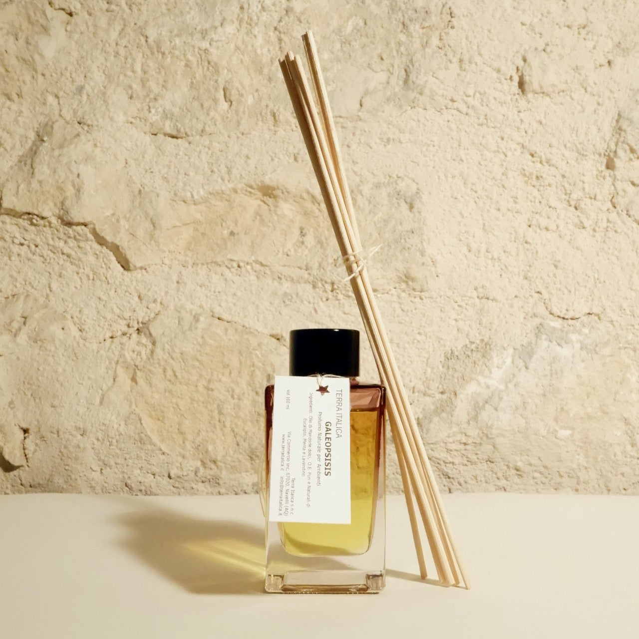 Galeopsis Balsamic Air Fresheners